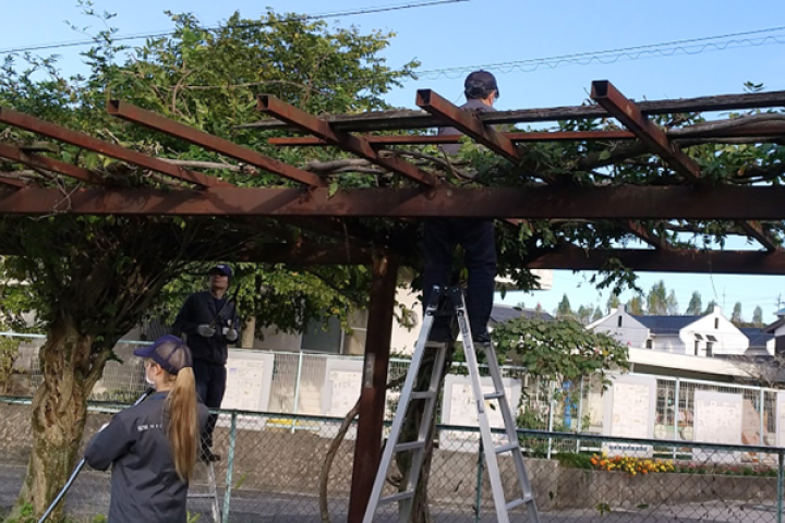 Factory and other site-specific actions