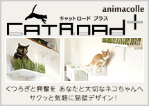 『animacolle』の公式HPを開設しました
